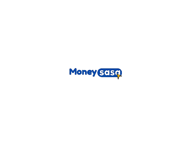 Moneysasa WordPress Plugin
